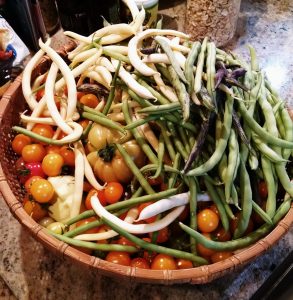 An evening's harvest from our garden.