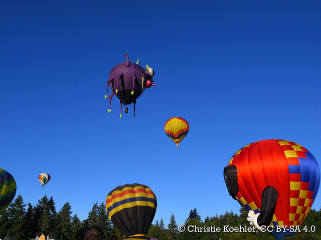 Hot air balloons launching at the Tigard Festival of Balloons!