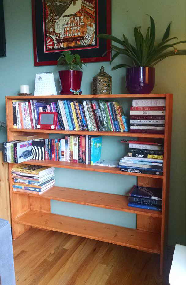 Bookcase I built from scratch.